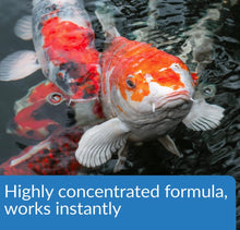 Load image into Gallery viewer, API Pond Aqua Essential Water Conditioner
