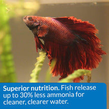 Load image into Gallery viewer, API Betta Food Floating Pellets
