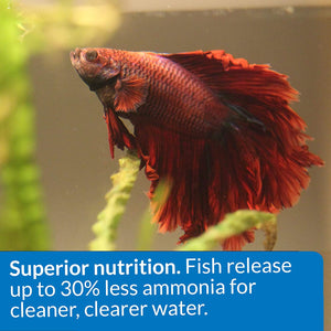 API Betta Food Floating Pellets