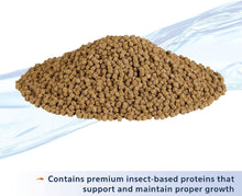 Load image into Gallery viewer, Aqueon Nutrinsect Goldfish Pellets

