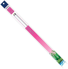 Load image into Gallery viewer, Aqueon T8 Colormax Fluorescent Lamp
