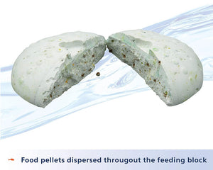 Aqueon 7-Day Fish Food Feeder