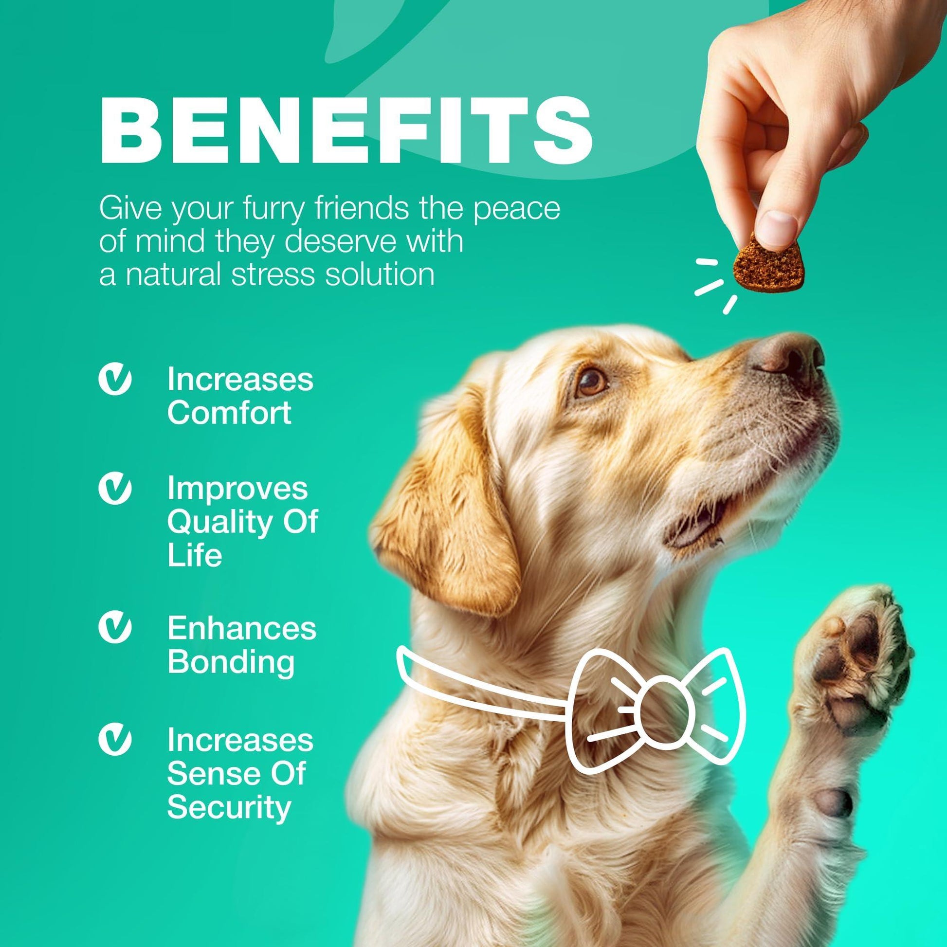 CHEWIA NO POO Coprophagia Deterrent for Dogs Duck Flavor Travel Pack 5 Oz For Pet With Love