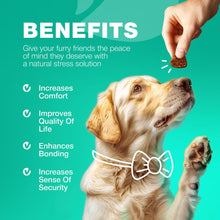 Load image into Gallery viewer, CHEWIA NO POO Coprophagia Deterrent for Dogs Duck Flavor Travel Pack 5 Oz
