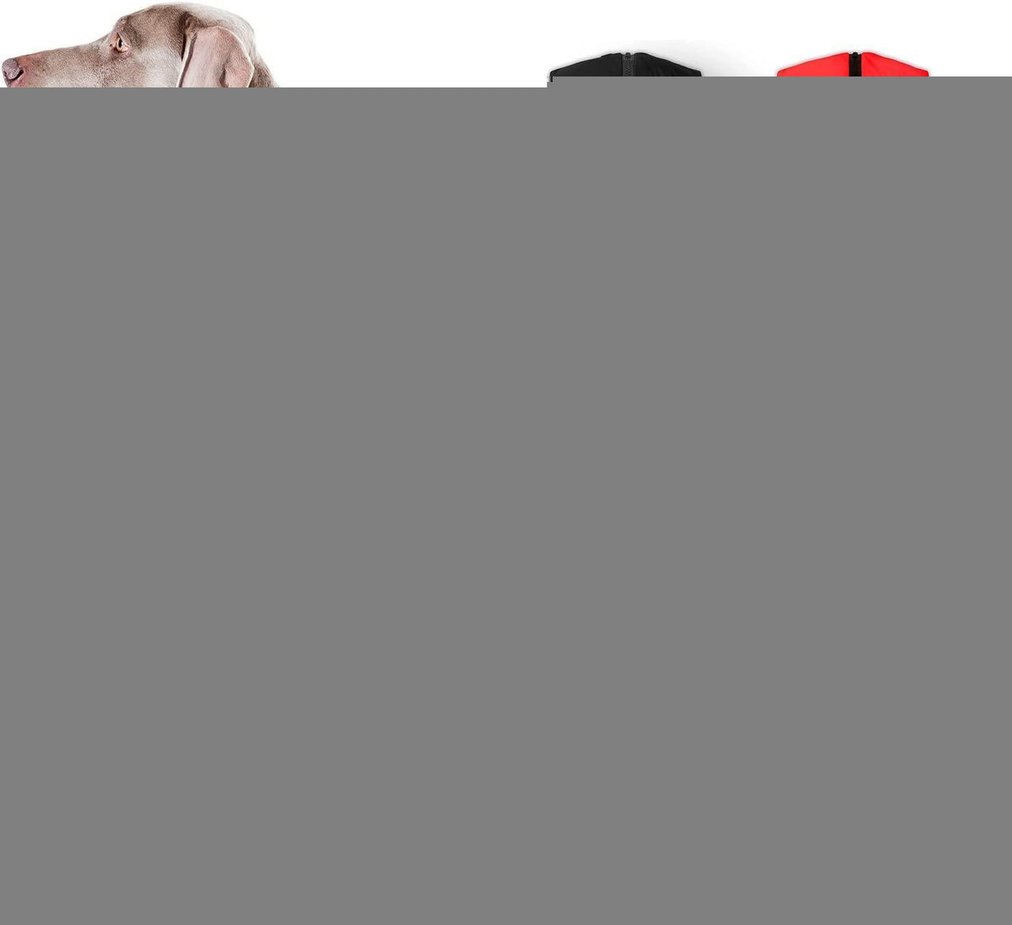 AiryVest Lightweight Reversible Winter Dog Jacket - XSMALL - Black/Red For Pet With Love