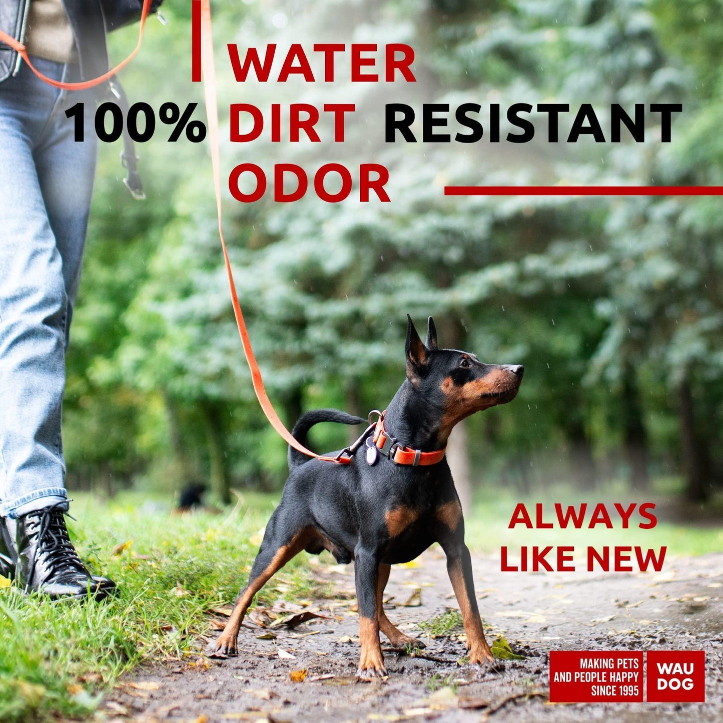 Waterproof Dog Leash 4 Ft   6 Ft   Anti Slip Dog Leash for Large Dogs Small and For Pet With Love