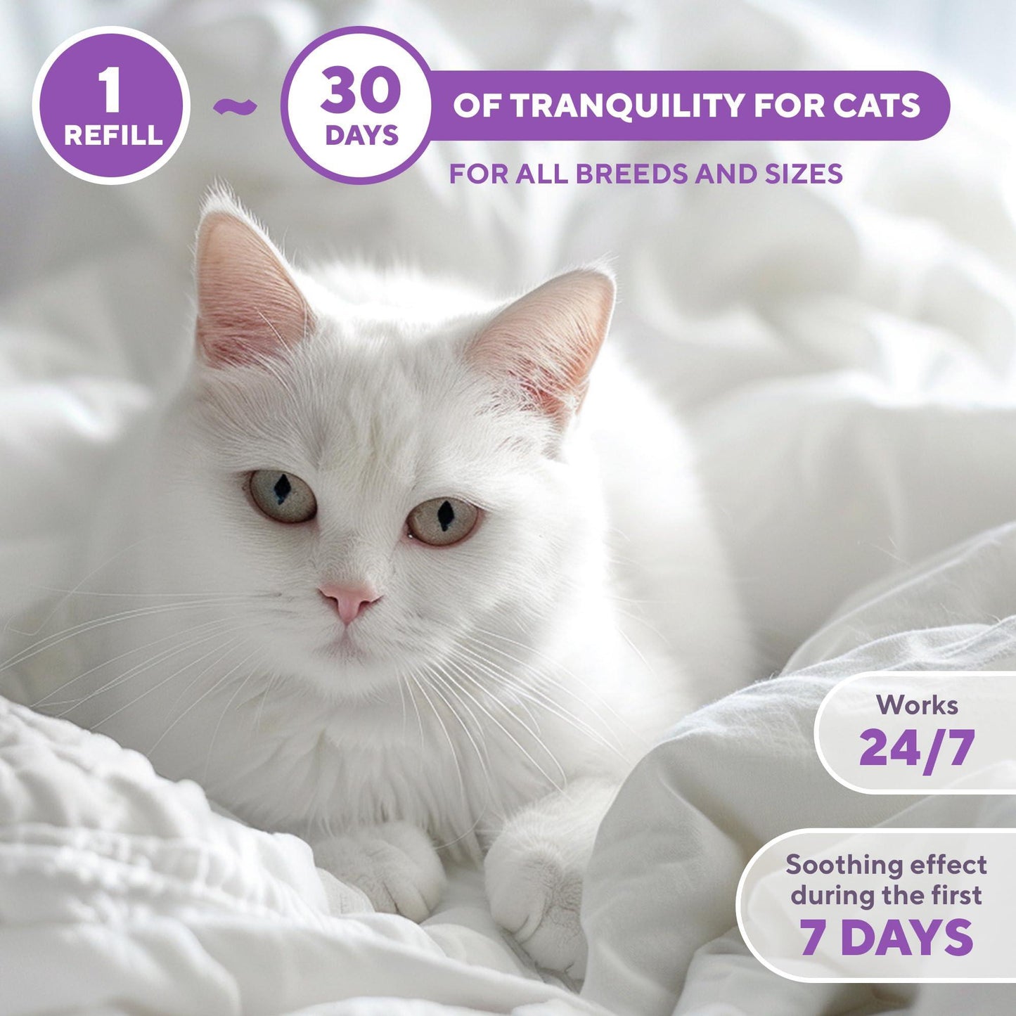 Beloved Pets RELAXIV Calming  & Anti Anxiety Cat Diffuser Refil. Feline Calming Pheromones. Cat Stress Relief & Comfort. 30-day Refill Bottle (6-pack) For Pet With Love