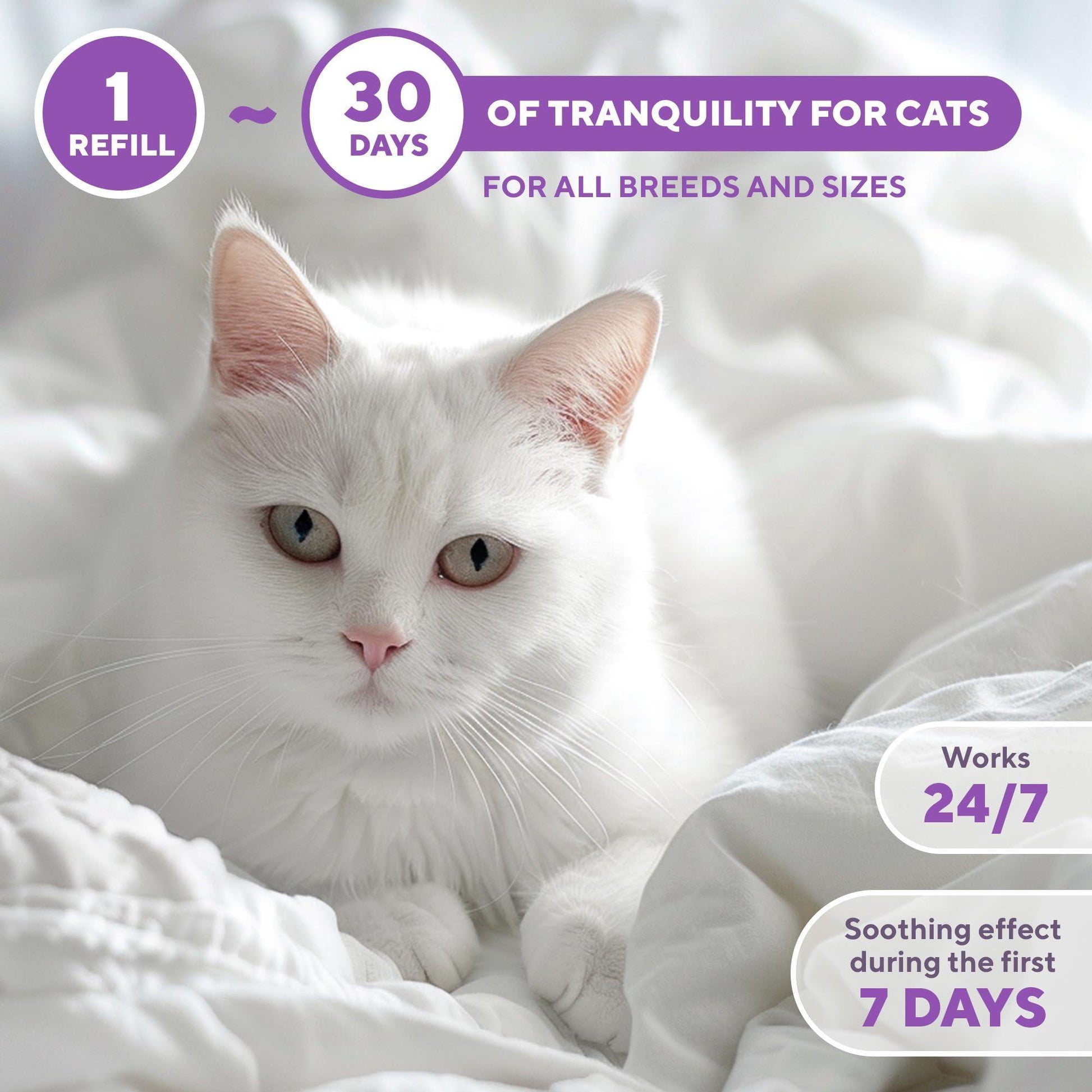 Beloved Pets RELAXIV Calming  & Anti Anxiety Cat Diffuser Refil. Feline Calming Pheromones. Cat Stress Relief & Comfort. 30-day Refill Bottle (6-pack) For Pet With Love