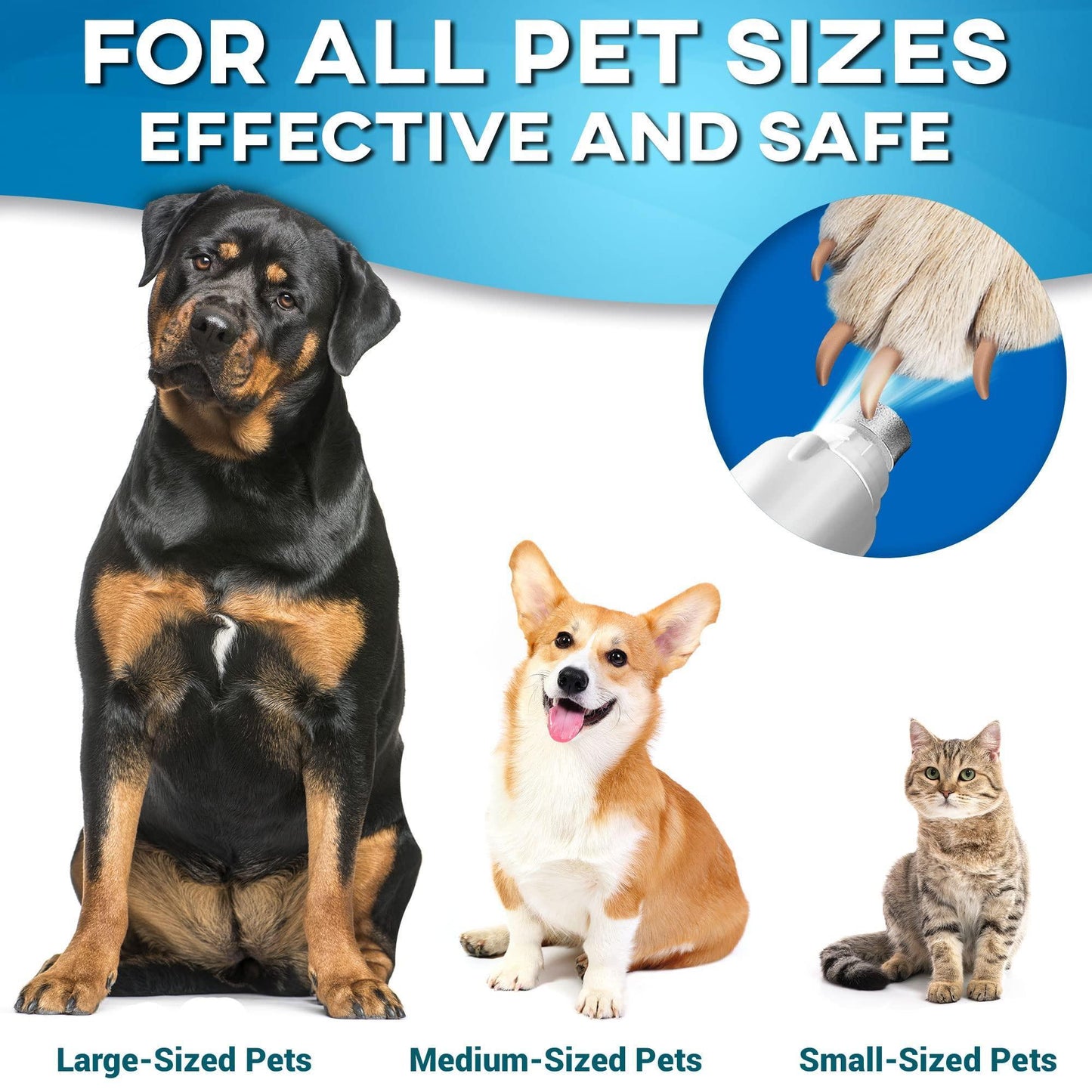 PRIMENS Professional Dog Nail Grinder Replacement Head (Pack of 3 Bits) For Pet With Love