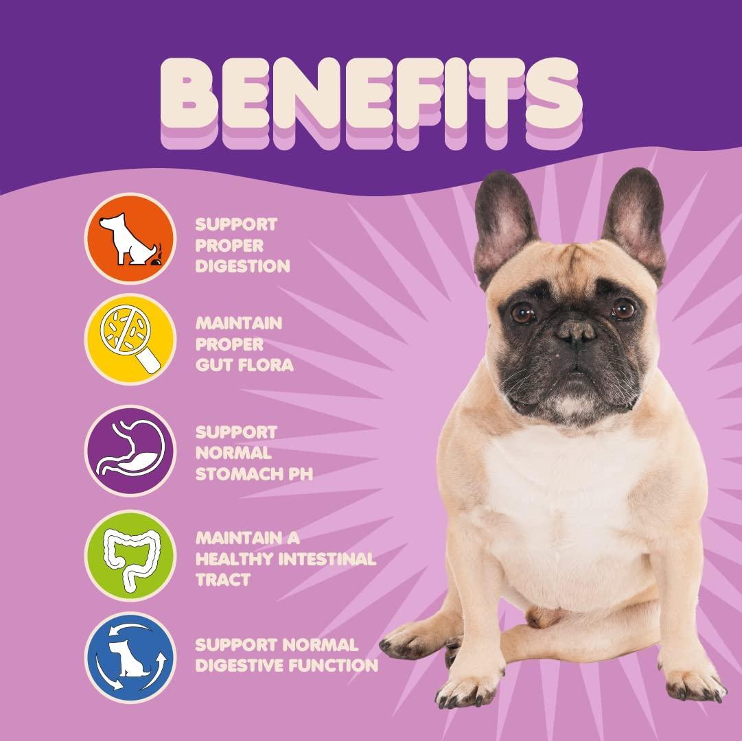 Makondo Pets Powder Probiotics and Digestive Enzymes for Dogs 3.2 Oz For Pet With Love