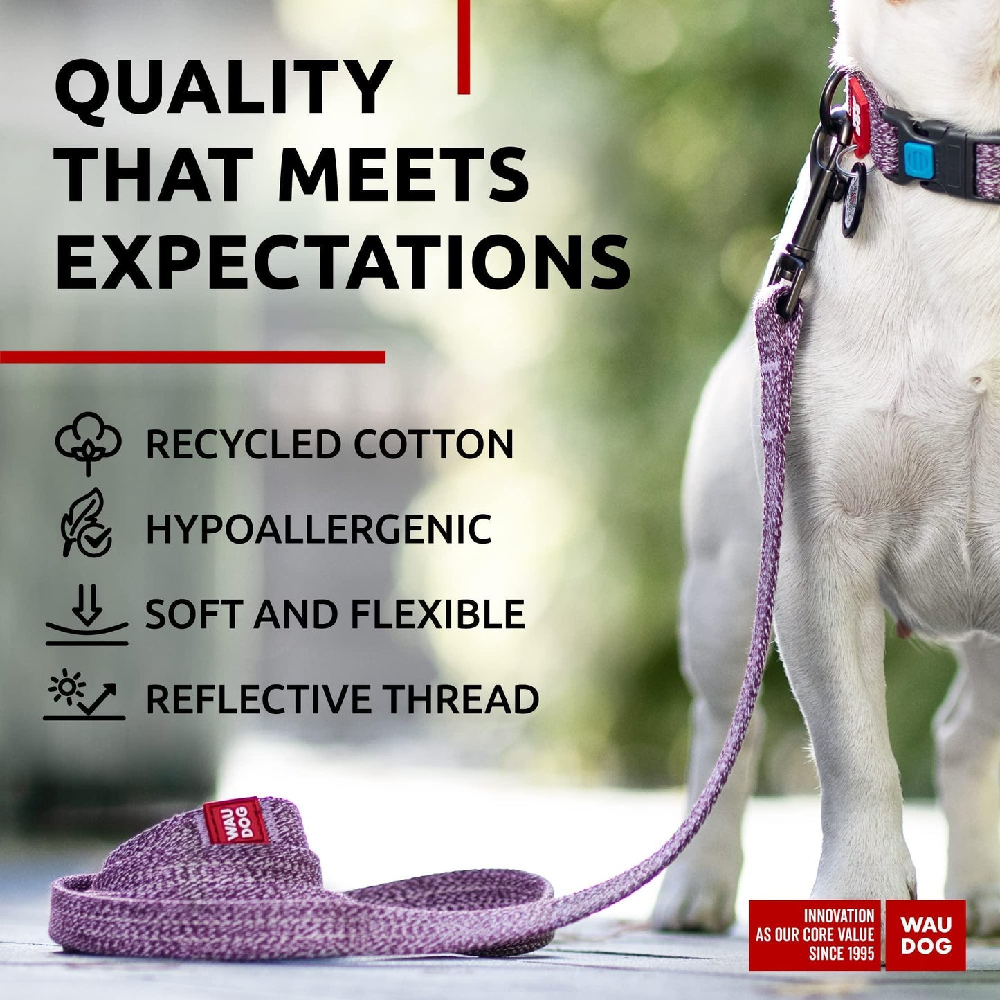 Recycled Cotton Dog Leash 6 Ft   10 Ft Eco Friendly Collar for Small Medium & For Pet With Love