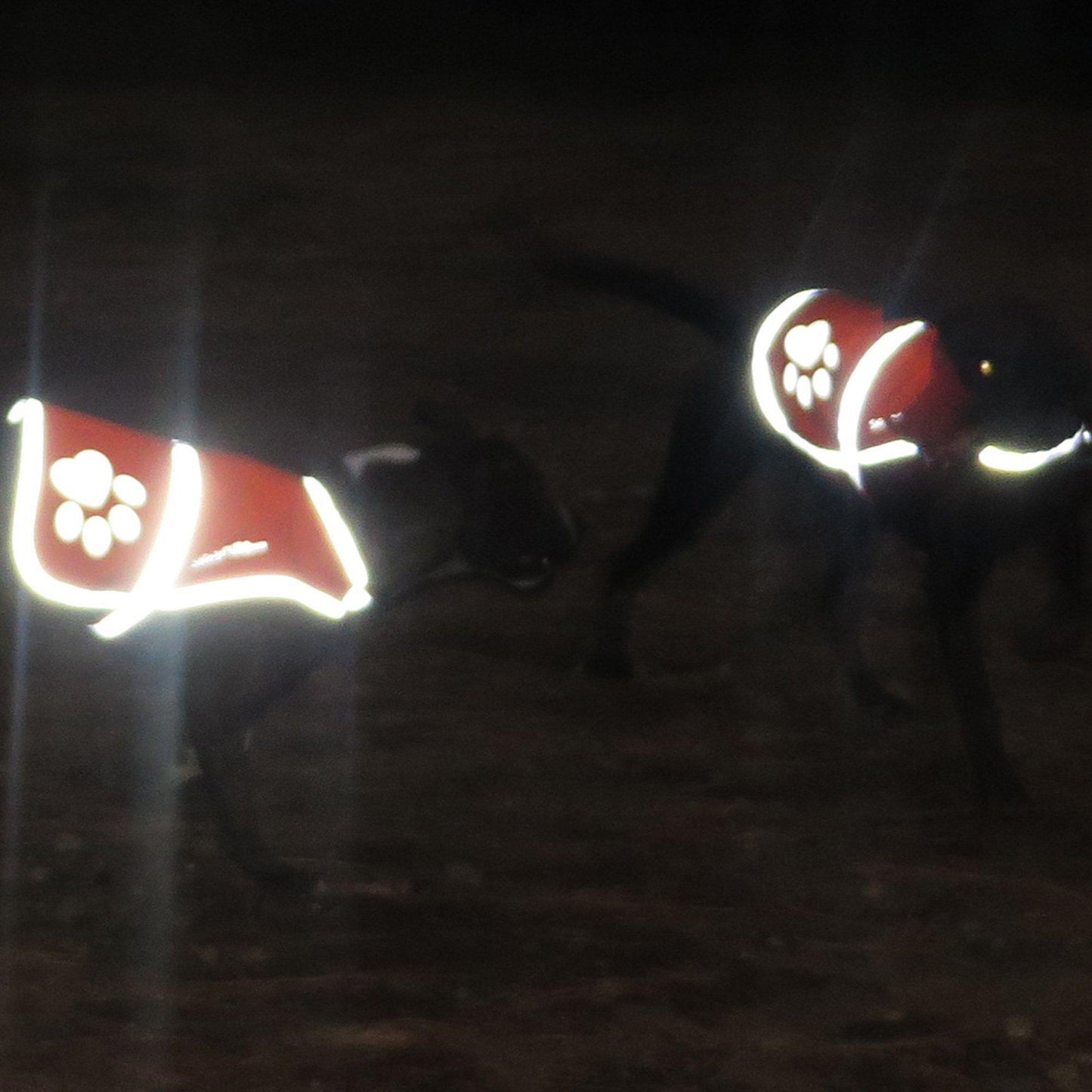 SafetyPUP XD Urban Dog Reflective Vest - MEDIUM - Blue - Fits Dogs 35lbs - 60lbs For Pet With Love