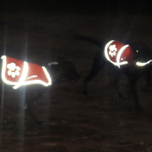 Load image into Gallery viewer, SafetyPUP XD Urban Dog Reflective Vest - MEDIUM - Blue - Fits Dogs 35lbs - 60lbs
