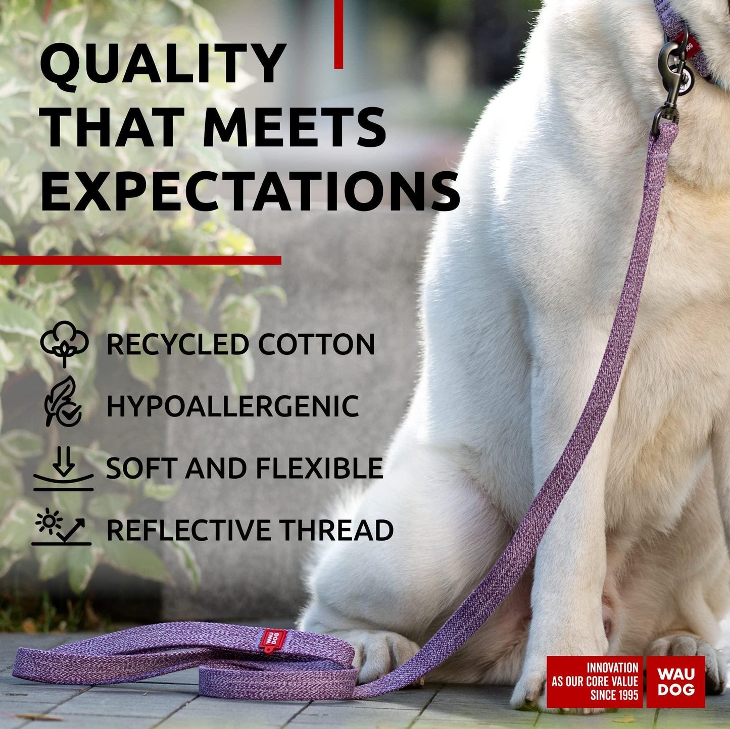 Recycled Cotton Dog Leash 6 Ft   10 Ft Eco Friendly Collar for Small Medium & For Pet With Love