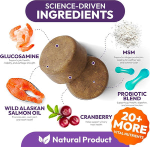 PETSOLOGY Multivitamin Chews for Dogs with Glucosamine, Omega 3 & Probiotics.  (2 Pack) 340 Chews