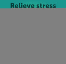 Load image into Gallery viewer, Hemp Calming Chews for Dogs   Dog Calming Chews   Dog Anxiety Relief Treats
