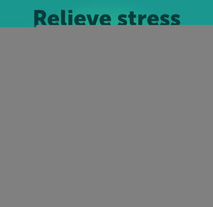 Hemp Calming Chews for Dogs   Dog Calming Chews   Dog Anxiety Relief Treats