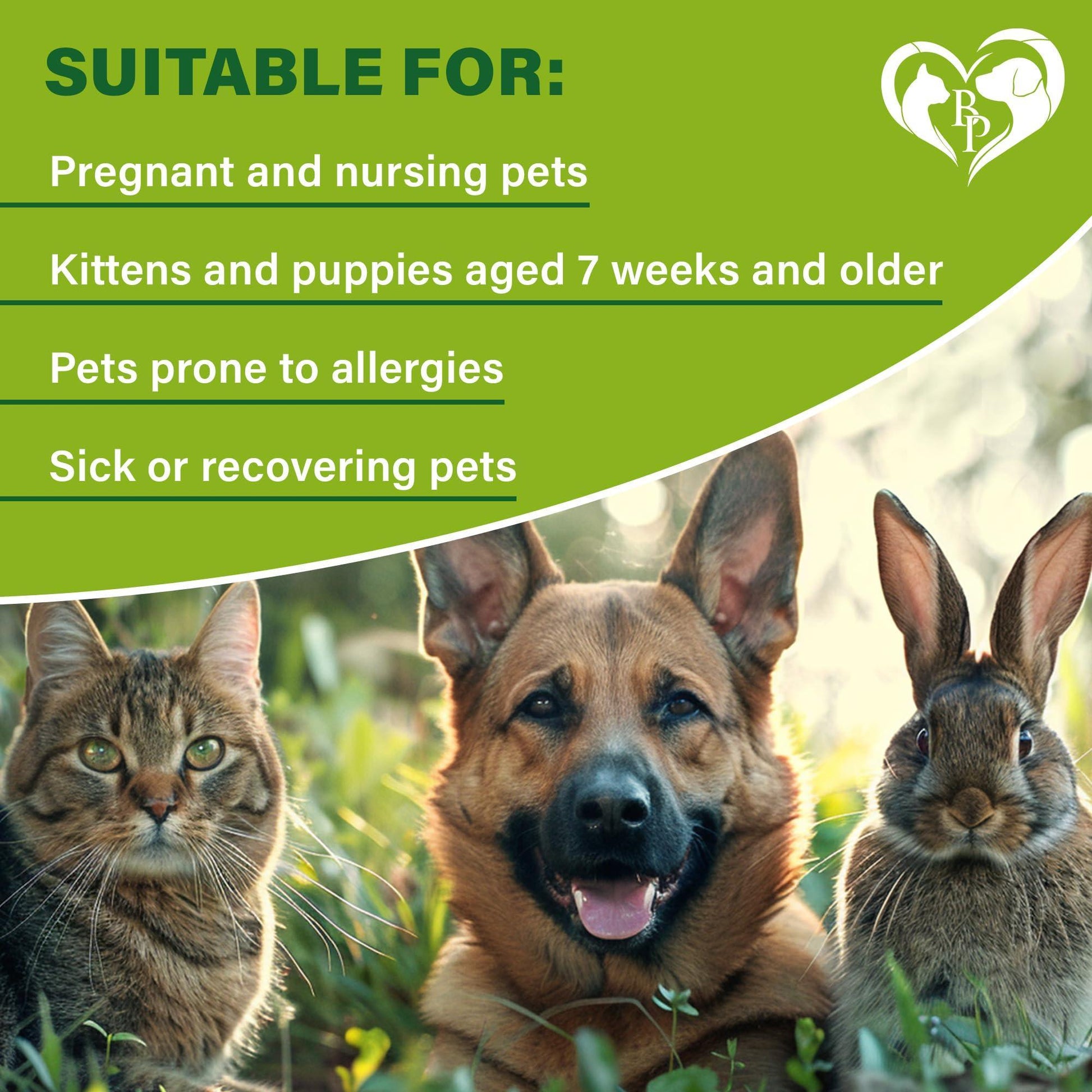 Beloved Pets Natural Flea and Tick Prevention for Dogs, Cats & Rabbits. Topical Flea & Mosquito Repellent. 3 Months Supply For Pet With Love