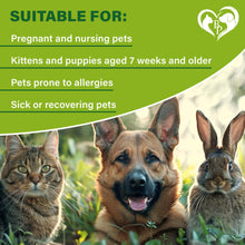 Load image into Gallery viewer, Flea and Tick Prevention for Dogs, Cats &amp; Small Animals Natural Flea Treatment
