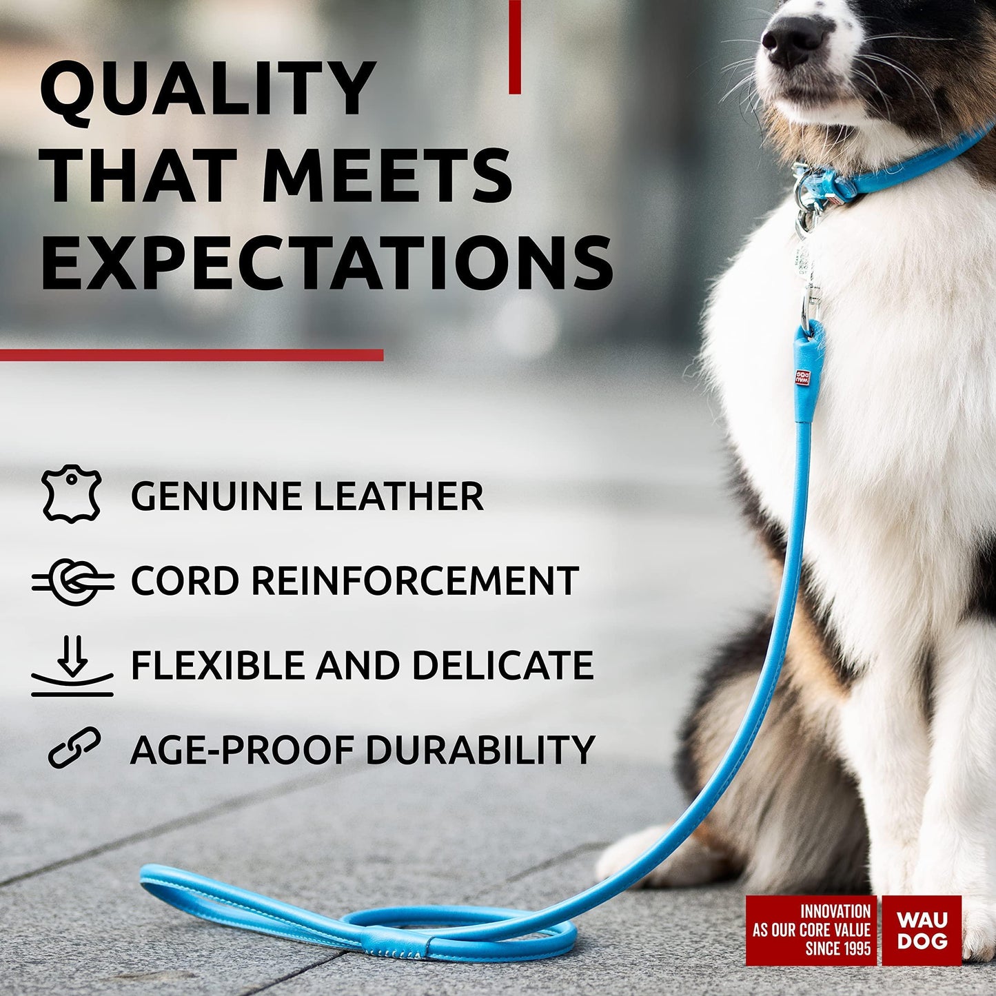 Rolled Leather Dog Leash 4Ft * 0.5 in for Small Medium and Large Dogs   Heavy For Pet With Love