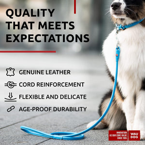 Rolled Leather Dog Leash 4Ft * 0.5 in for Small Medium and Large Dogs   Heavy