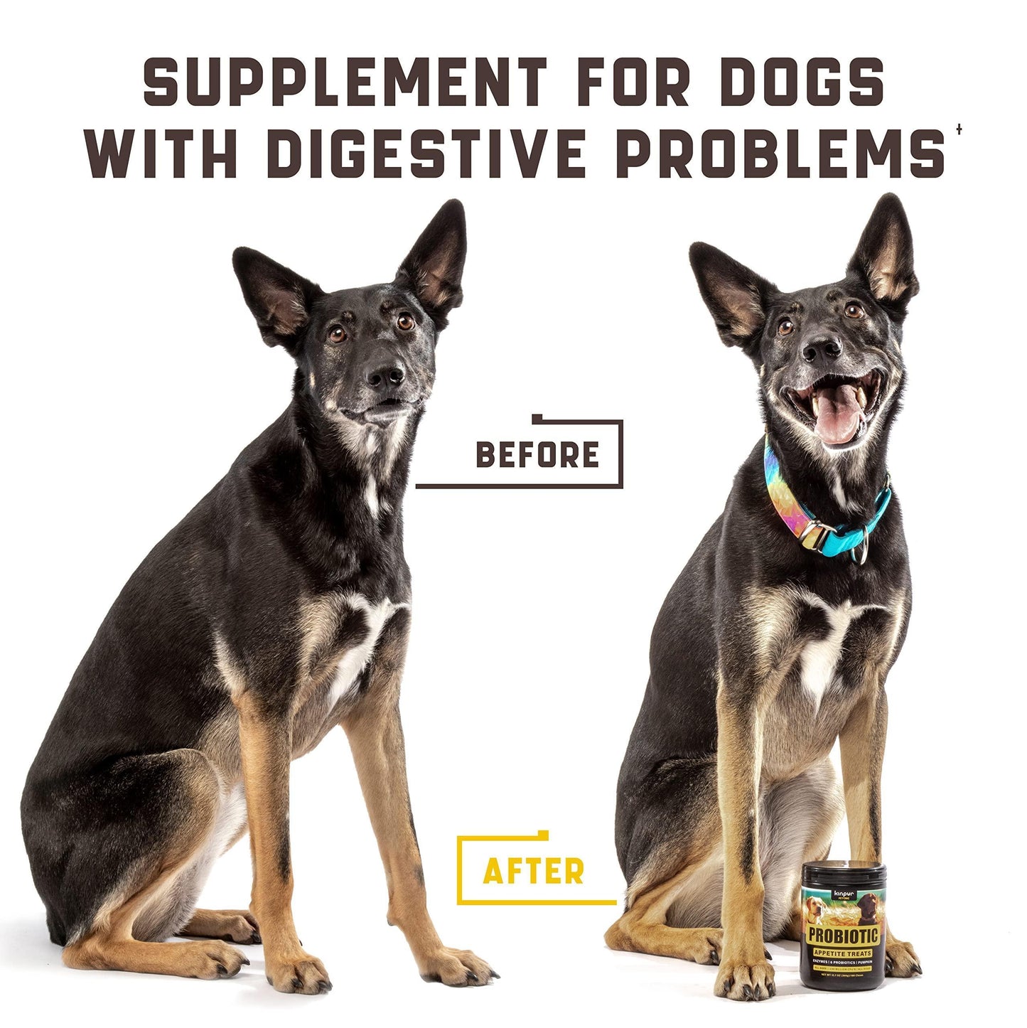 Kinpur Pet Care Probiotic Treats for Dogs 180 Chews For Pet With Love