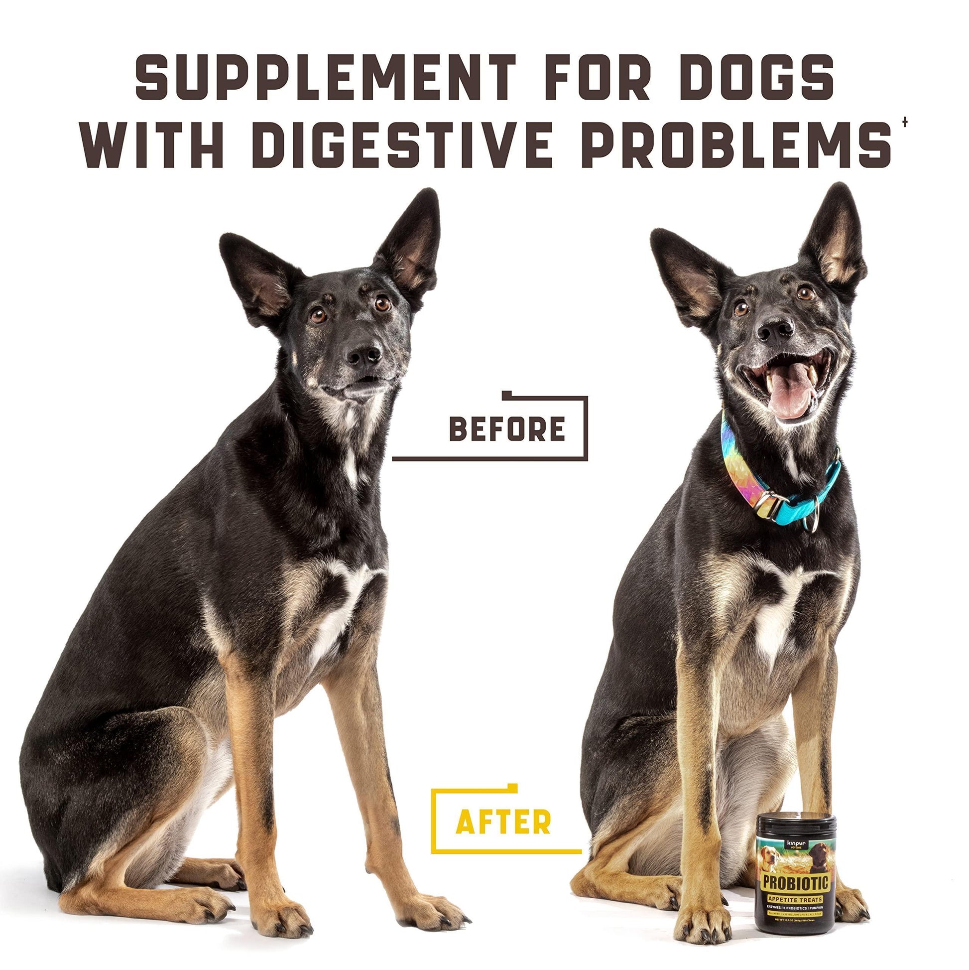 Kinpur Pet Care Probiotic Treats for Dogs 180 Chews For Pet With Love