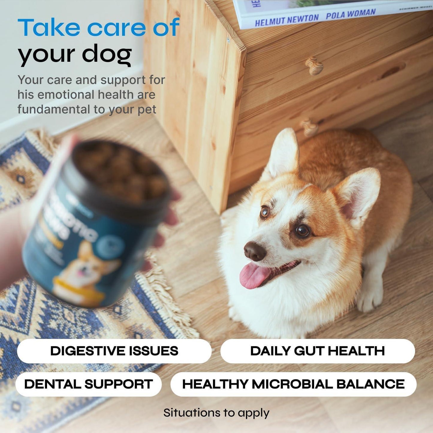 VETRICA Probiotic Digestive and Gut Health Immune System Support Supplement Chews for Dogs. Diarrhea and Bowel Support Supplement.  Made in USA. 130 Chews. For Pet With Love