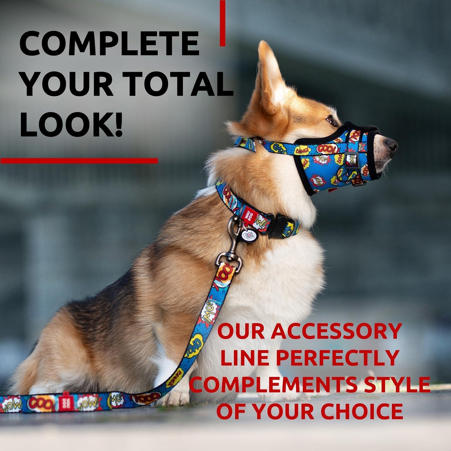 Nylon Dog Leash for Small Dogs and Medium Dogs 4 Ft   Strong Dog Leash for For Pet With Love