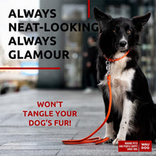 Load image into Gallery viewer, Rolled Leather Dog Leash 4Ft * 0.4 in for Small Medium and Large Dogs   Heavy
