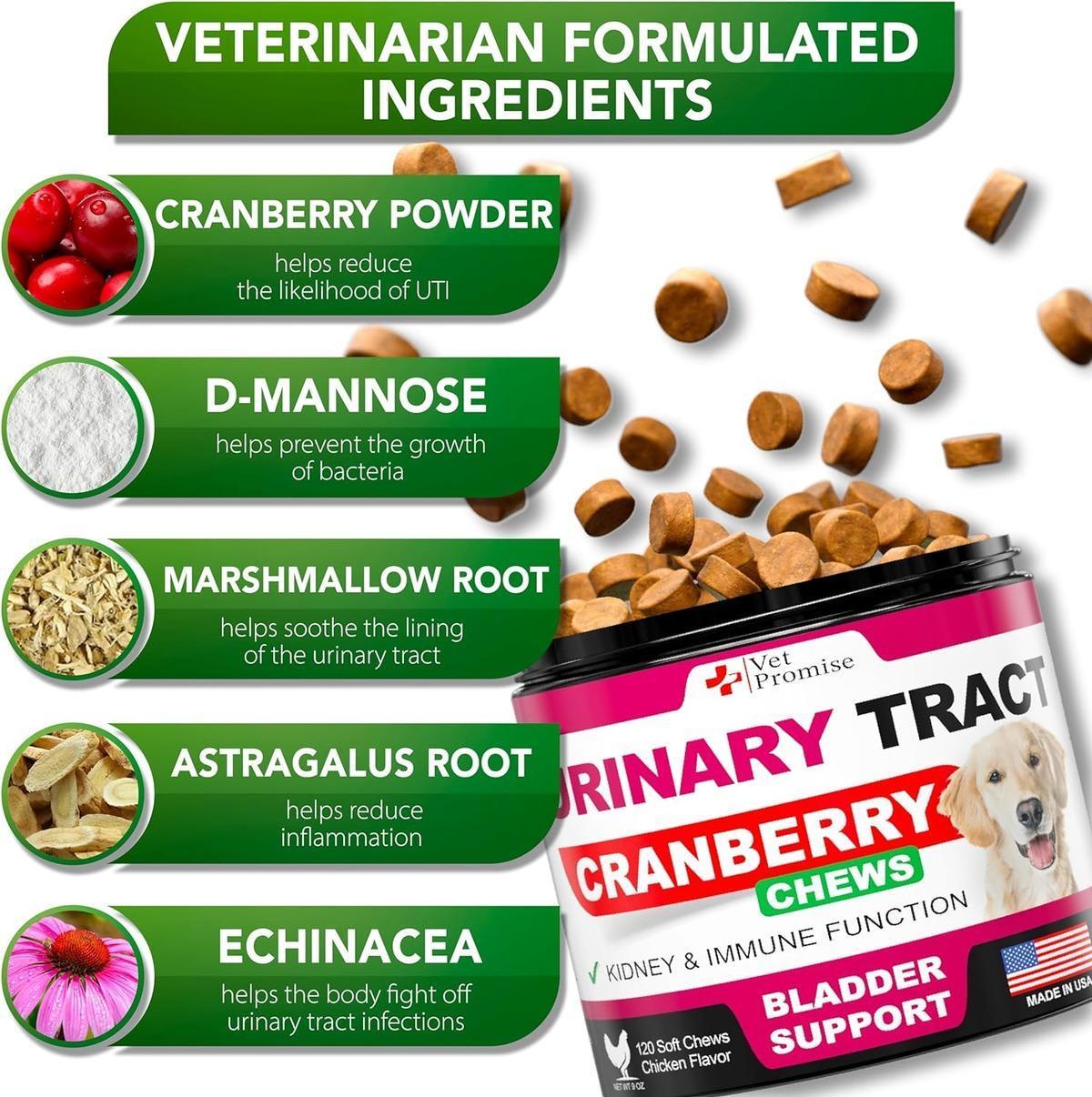 Vet Promise Cranberry UTI Treatment Bladder Control for Dogs 120 Chews For Pet With Love