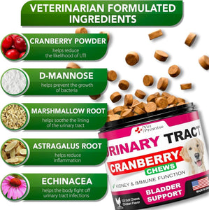 Vet Promise Cranberry UTI Treatment Bladder Control for Dogs 120 Chews