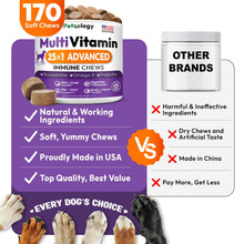Load image into Gallery viewer, Dog Multivitamin Chewable   Dog Vitamins and Supplements with Glucosamine   170
