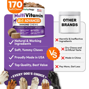 Dog Multivitamin Chewable   Dog Vitamins and Supplements with Glucosamine   170