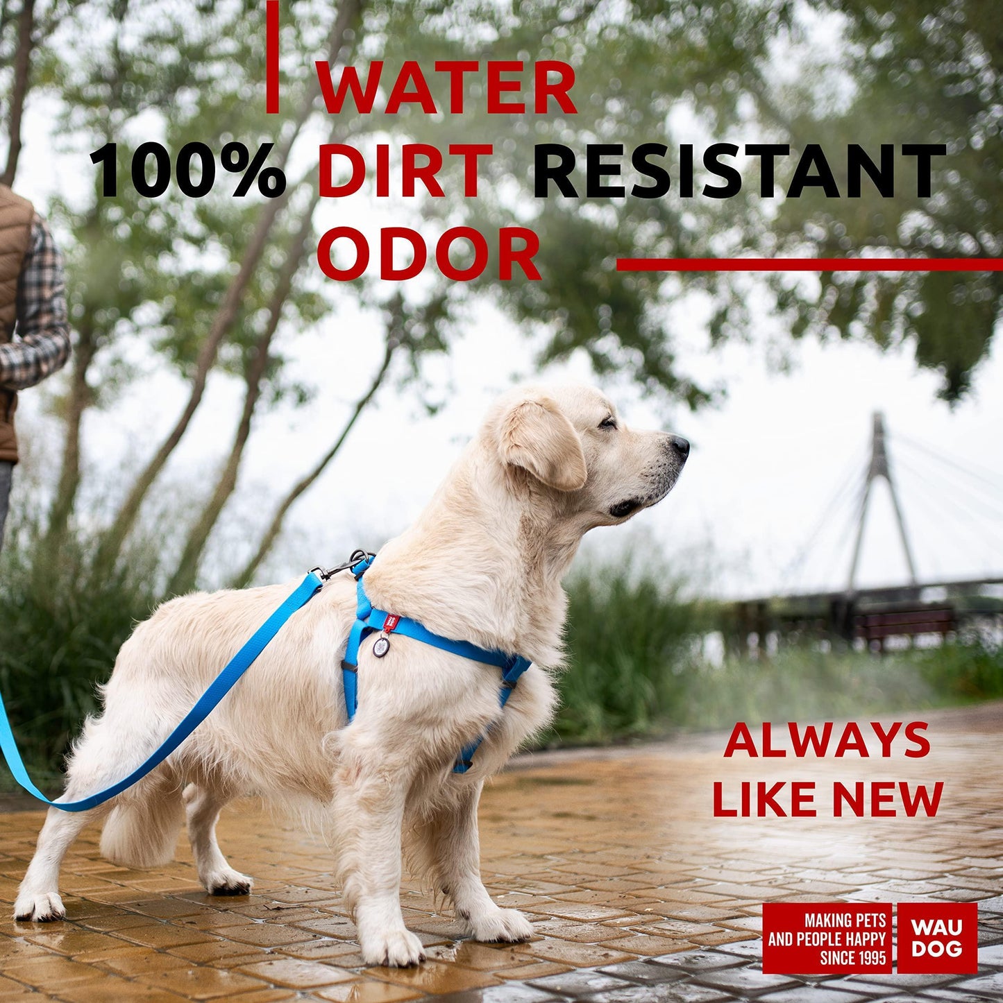 WAUDOG Waterproof Dog Harness   Adjustable Dog Harness for Large Dogs Small and For Pet With Love