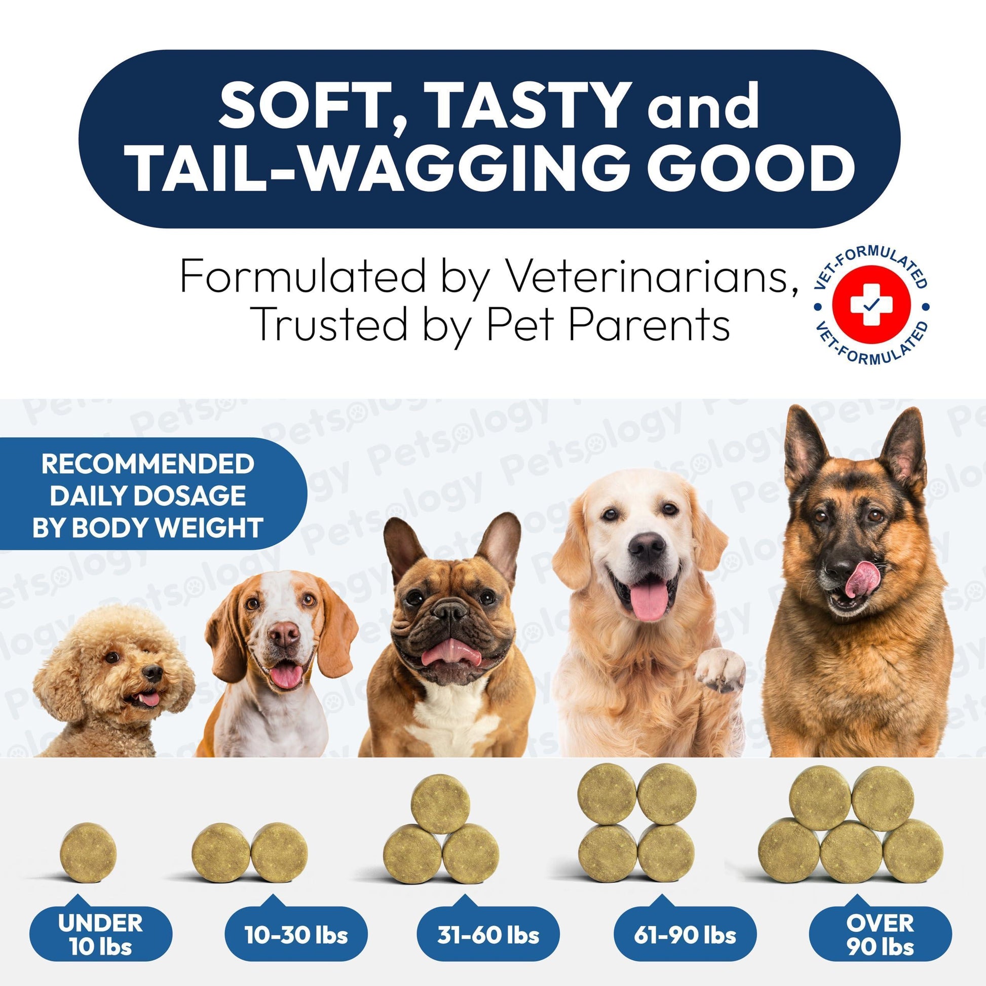 PETSOLOGY Omega 3 Fish Oil Skin & Coat Supplement for Dogs 170 Chews For Pet With Love
