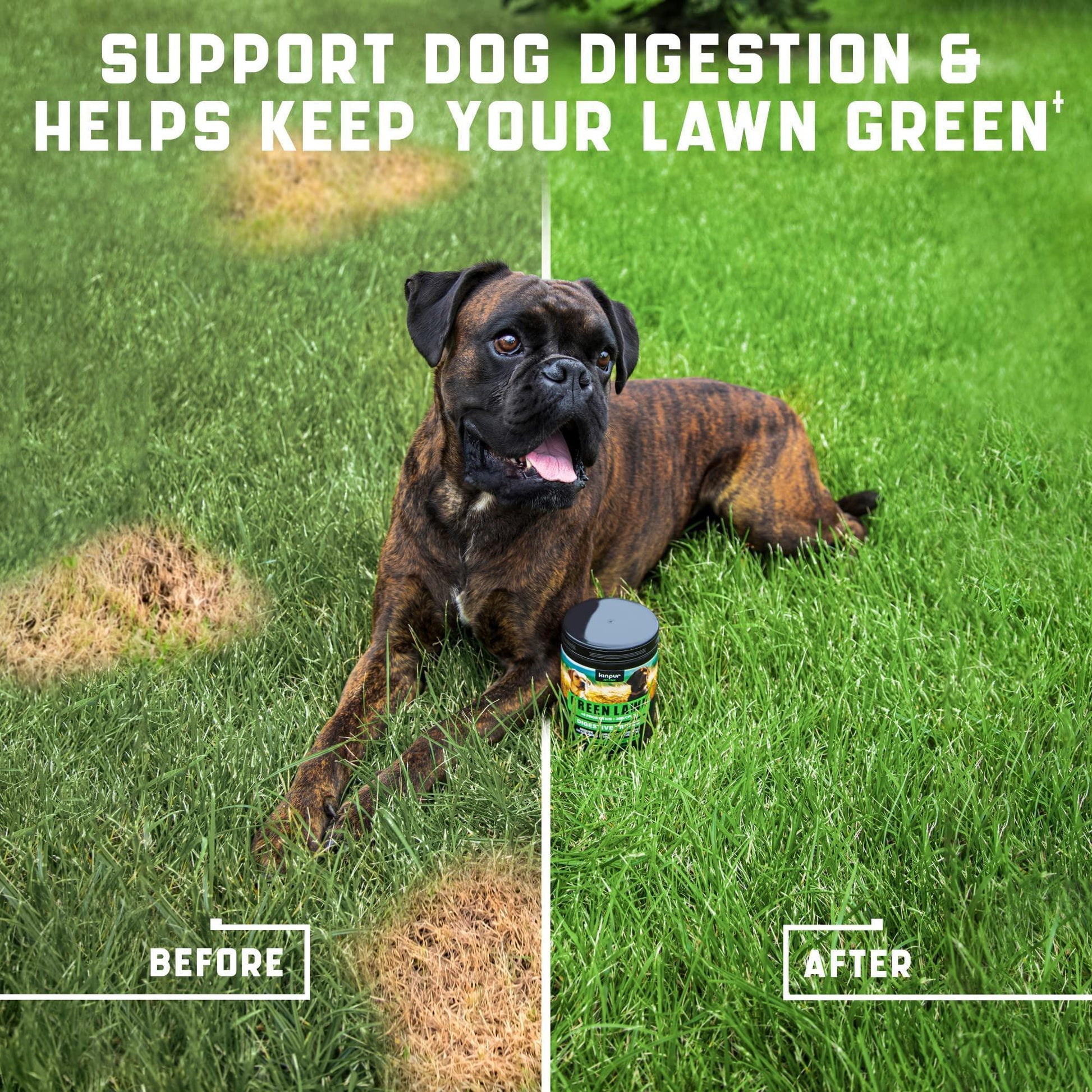 Kinpur Pet Care Cranberry Dog Urine Neutralizer for Lawn with Probiotics 180 Ct For Pet With Love