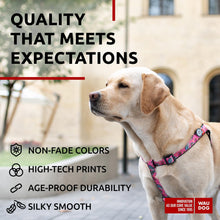 Load image into Gallery viewer, Nylon Dog Leash for Small Dogs and Medium Dogs 4 Ft   Strong Dog Leash for
