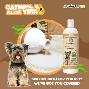 Oatmeal Shampoo for Dogs with Aloe Vera. Hypoallergenic Dog Shampoo