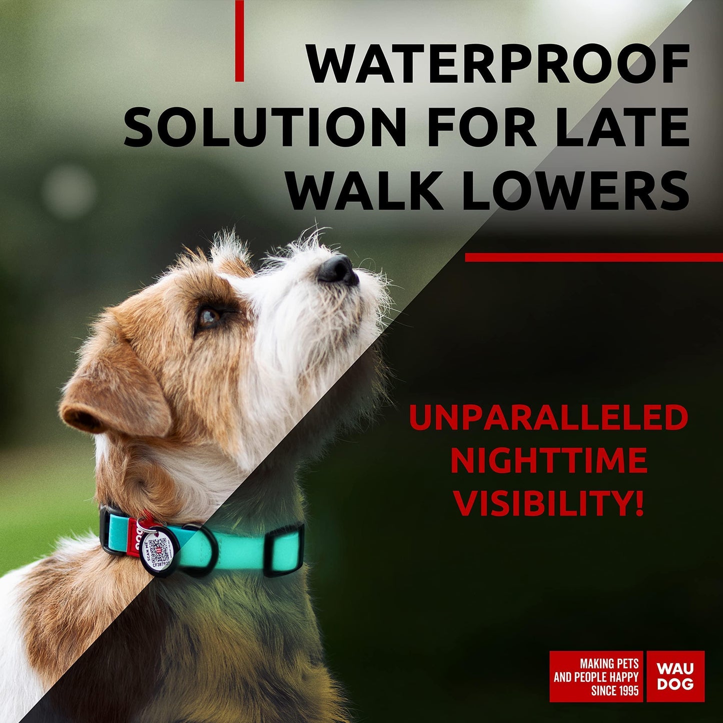 WAUDOG Adjustable Waterproof Glow in The Dark Dog Collar with Durable Metal Clasp and QR Dog Tag AQUA SMALL For Pet With Love
