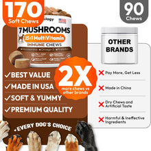 Load image into Gallery viewer, PETSOLOGY Mushroom Multivitamin Supplement for Dogs with Glucosamine, Omega 3 and Probiotics. 170 Chews
