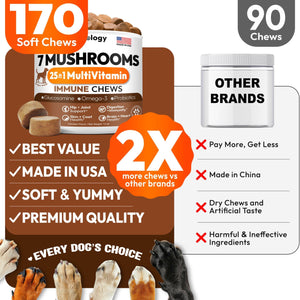 PETSOLOGY Mushroom Multivitamin Supplement for Dogs with Glucosamine, Omega 3 and Probiotics. 170 Chews