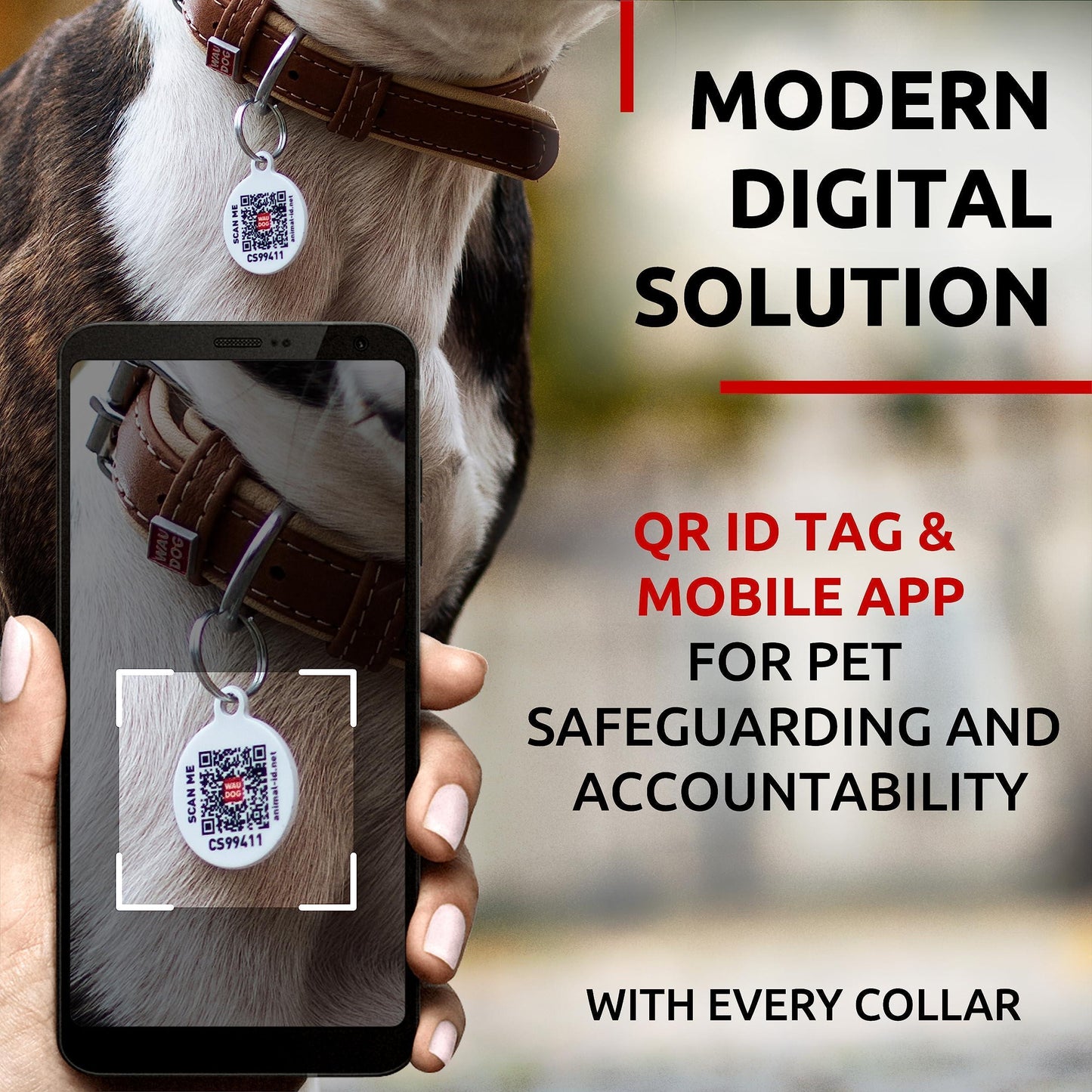 WAUDOG Leather Dog Collar with Durable Buckle and QR Dog Tag BROWN SMALL For Pet With Love
