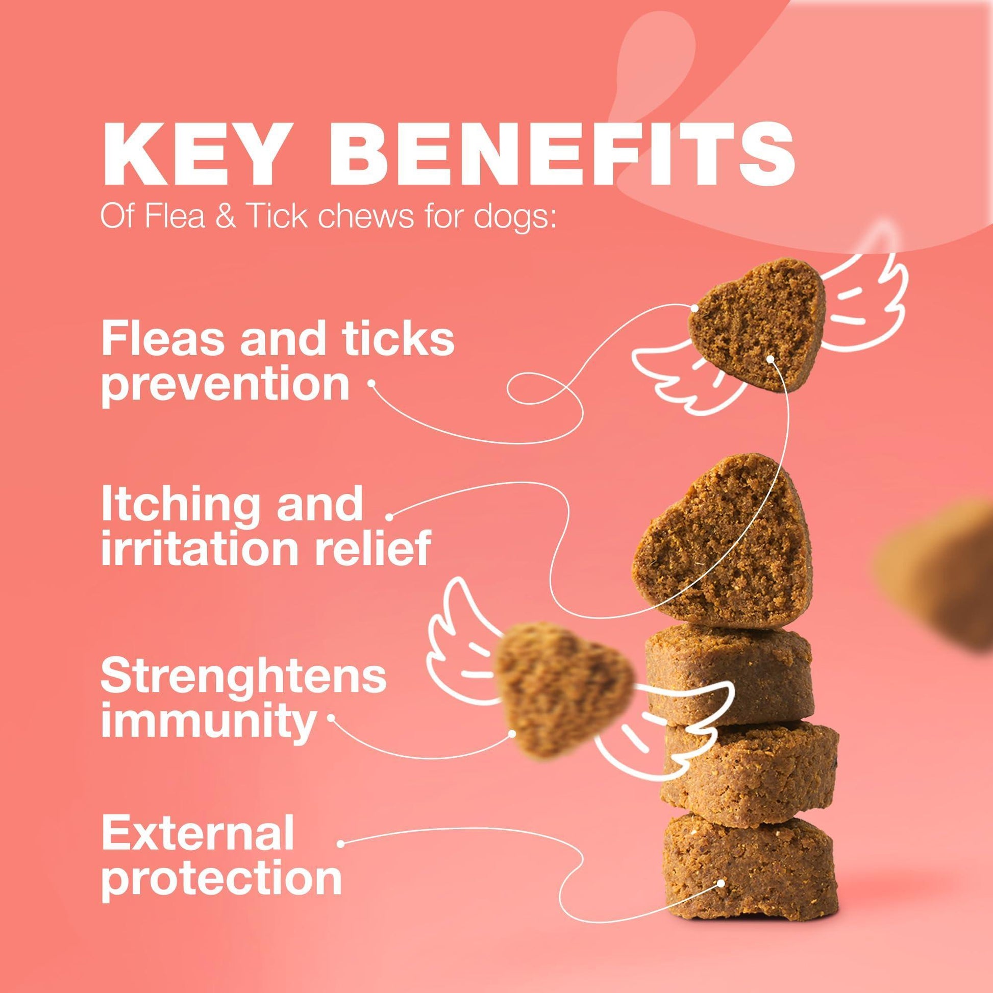 Dog Flea and Tick Treatment Chews   Flea and Tick Prevention for Dogs   Flea & For Pet With Love