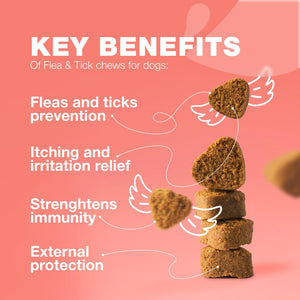 Dog Flea and Tick Treatment Chews   Flea and Tick Prevention for Dogs   Flea &
