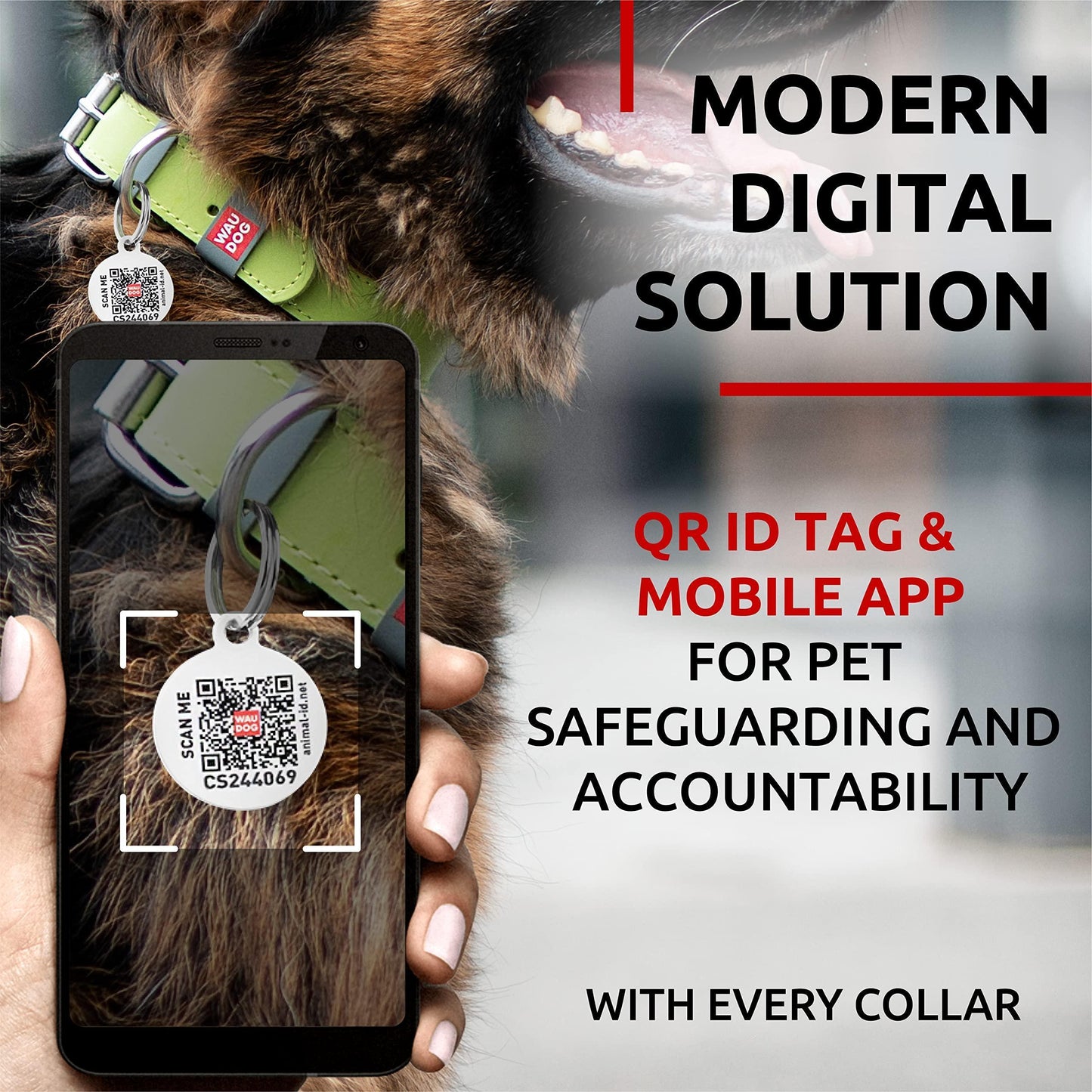 WAUDOG Long Lasting Leather Dog Collar with Durable Buckle D Ring & QR Dog Tag GREEN LARGE For Pet With Love