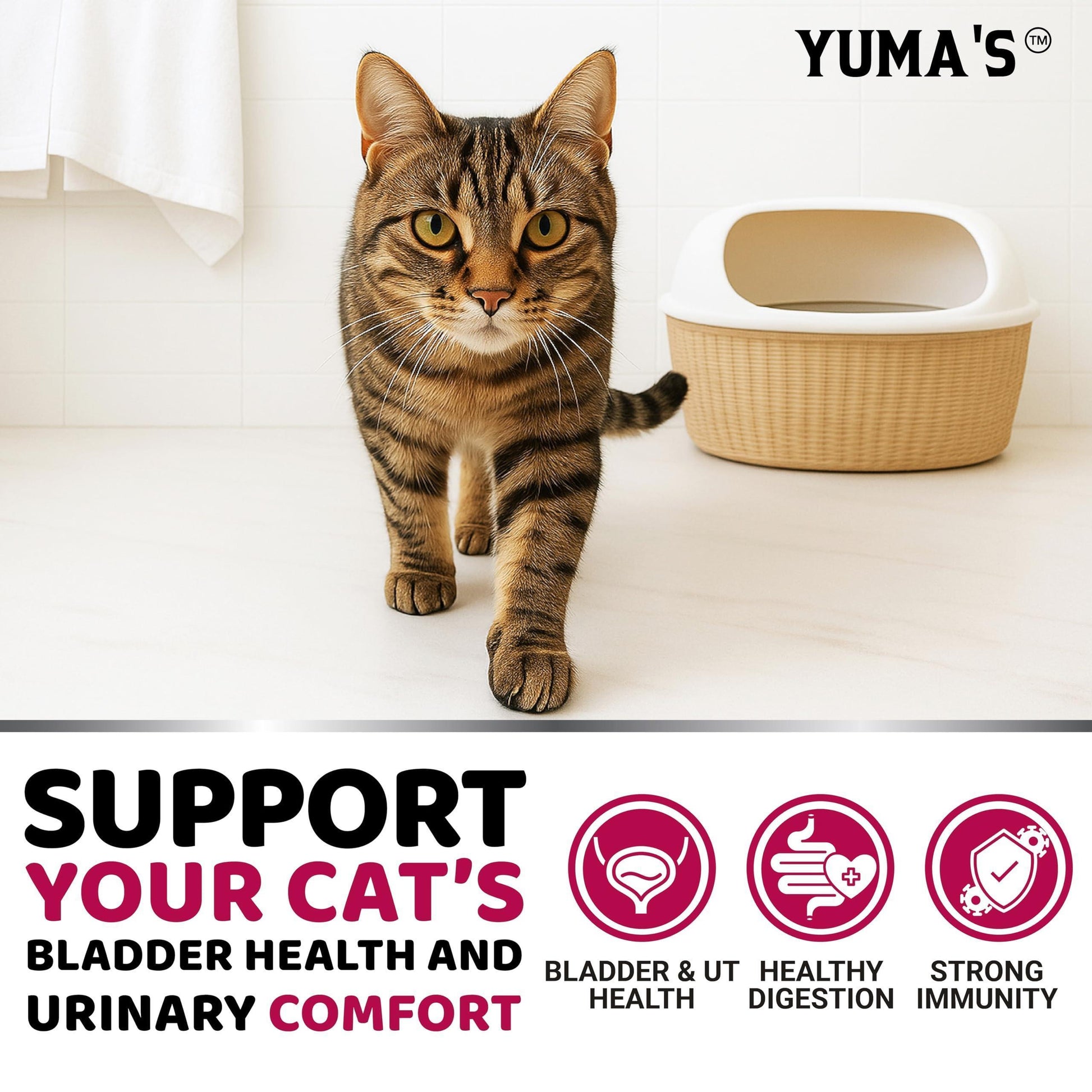 YUMA'S Cat Urinary Tract Infection Multivitamin Treatment and Supplement. 120 Chews For Pet With Love