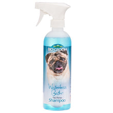 Load image into Gallery viewer, Bio Groom Waterless Bath No-Rinse Shampoo
