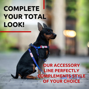 WAUDOG Nylon Dog Leash for Small Dogs and Medium Dogs 4 Ft   Strong Dog Leash