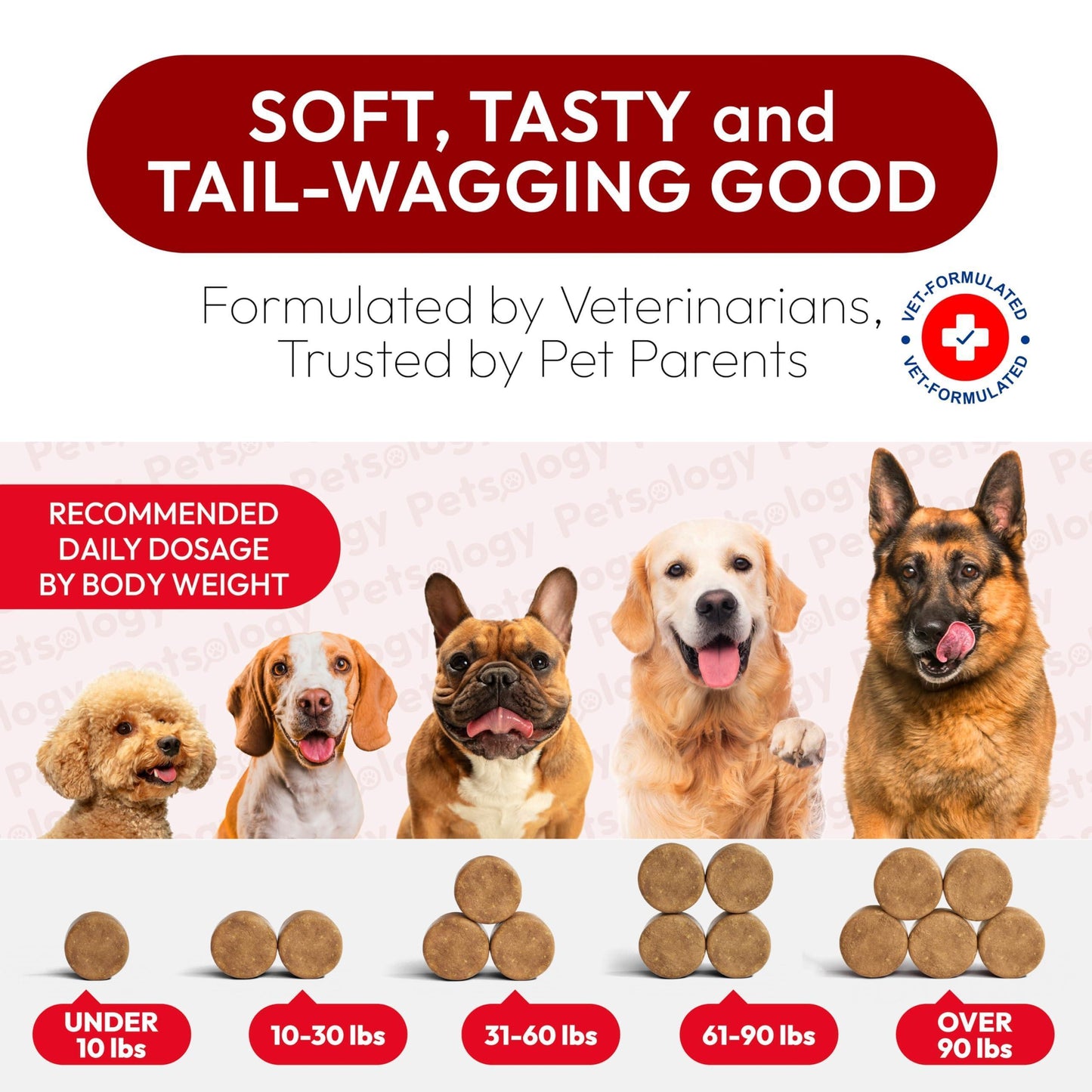 PETSOLOGY Advanced UTI Treatment Cranberry Multivitamin Supplement for Dogs. 170 Chews For Pet With Love
